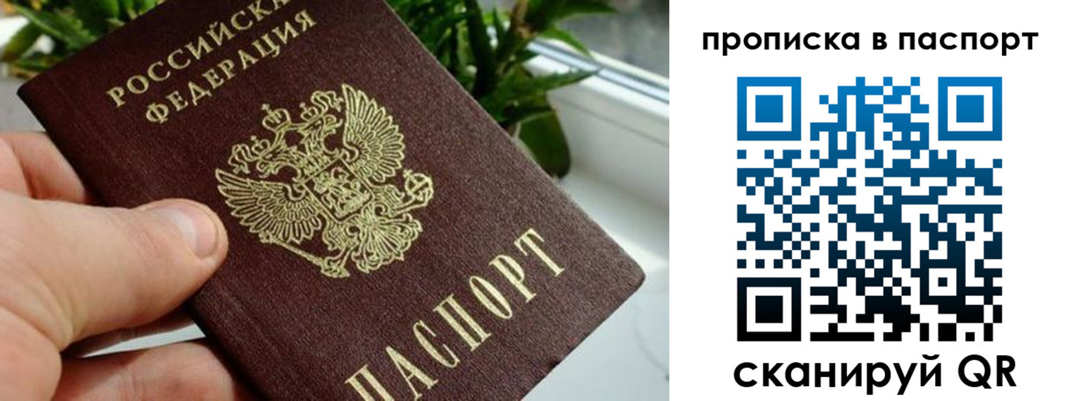 пропишу в квартире в Арсеньеве